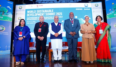 drshailly kedia curator of wsds sr fellow teri mr nitin desai chairman teri shr