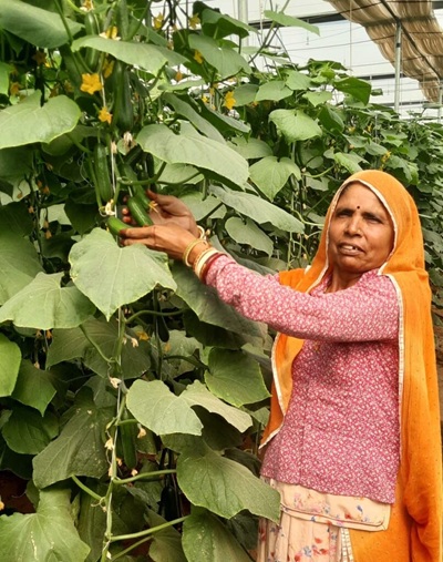 ambuja rajasthan santosh devi1