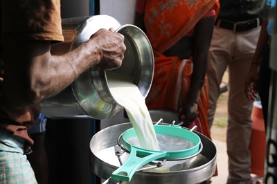 dairy farmer straining milk