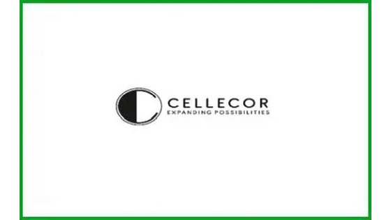 Cellecor Gadgets Limited 1