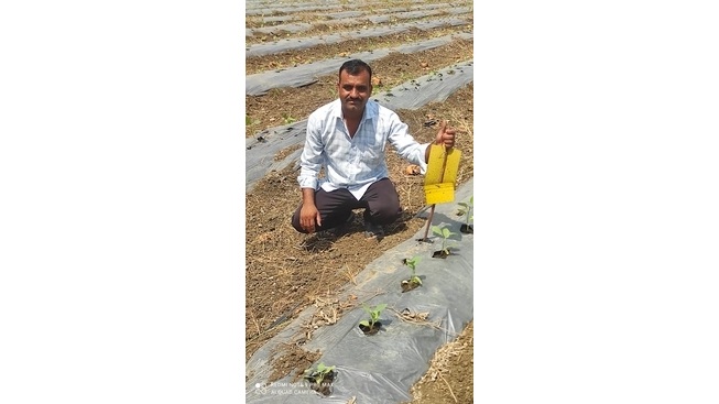 Ambuja Cements enables farmer in Nagpur to achieve success through modern vegetable farming